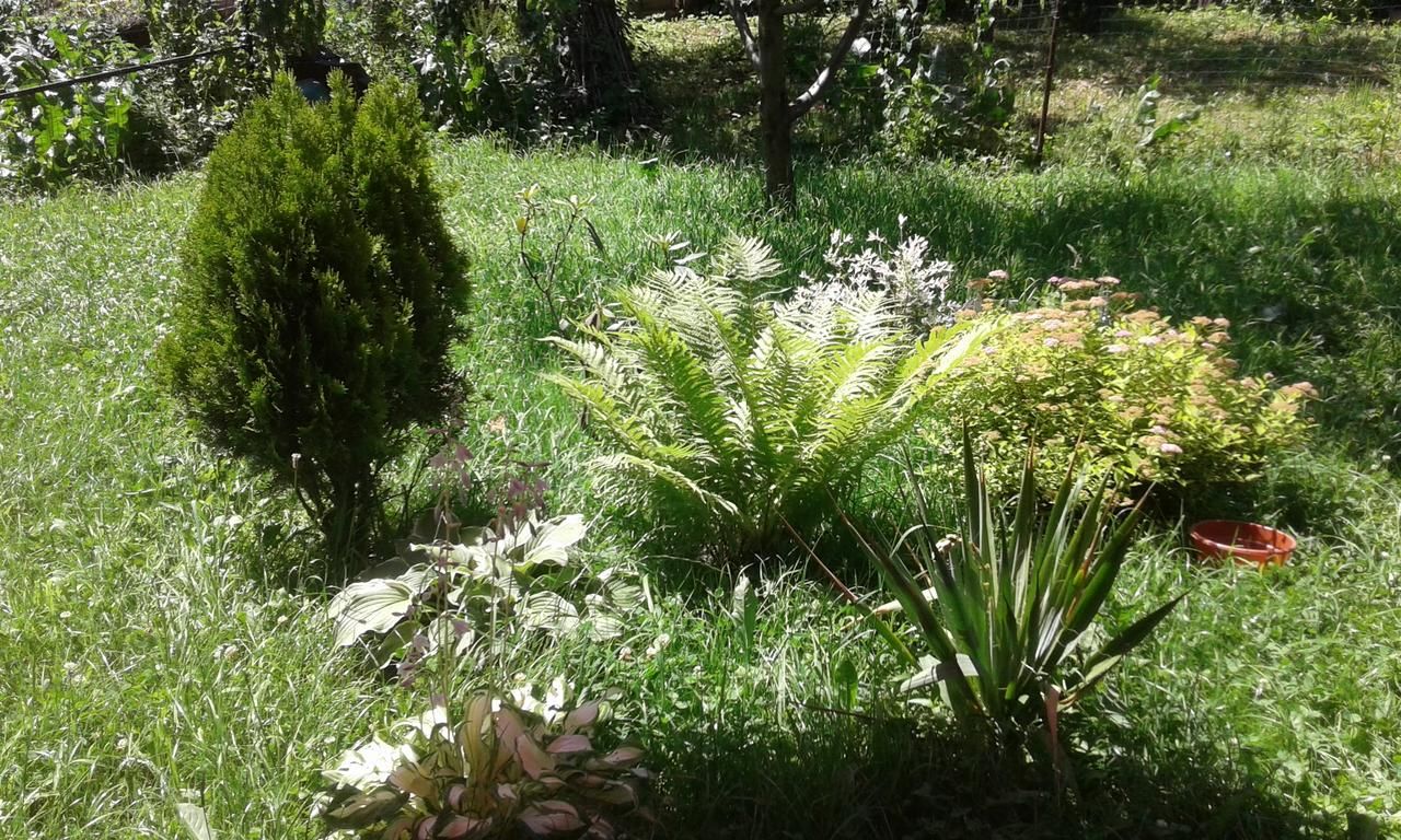 Лоджи Girske Povitria 2 Яремче-33