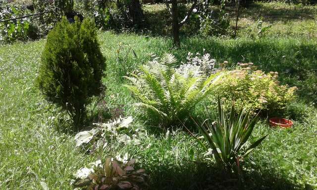 Лоджи Girske Povitria 2 Яремче-32