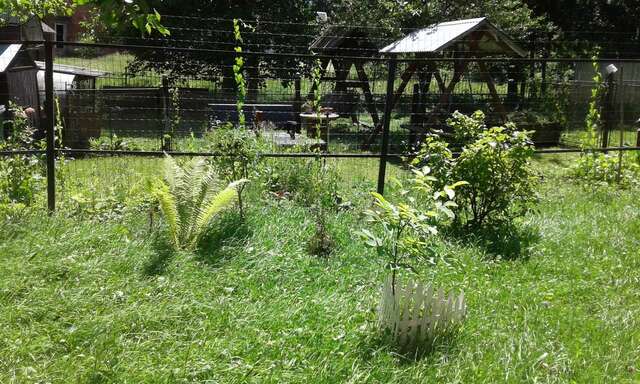 Лоджи Girske Povitria 2 Яремче-47